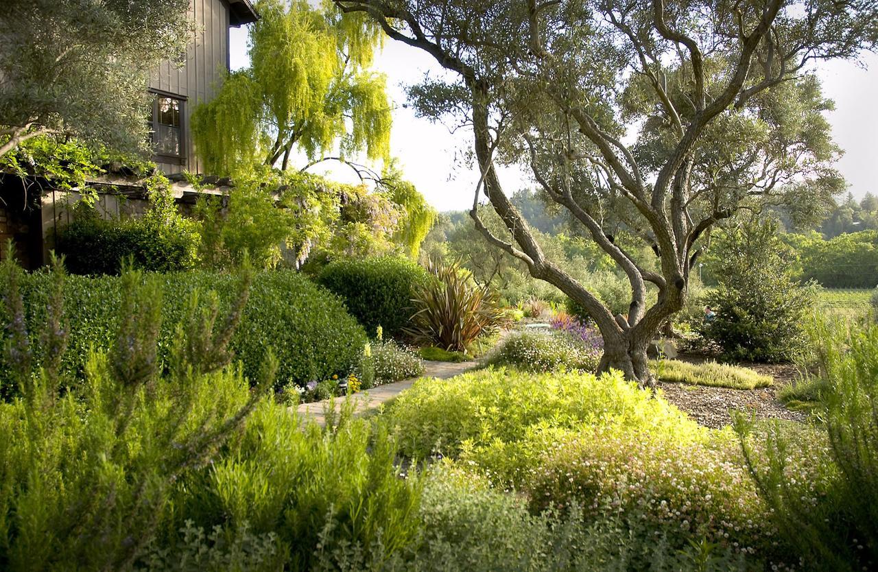 Wine Country Inn Napa Valley Света Елена Екстериор снимка