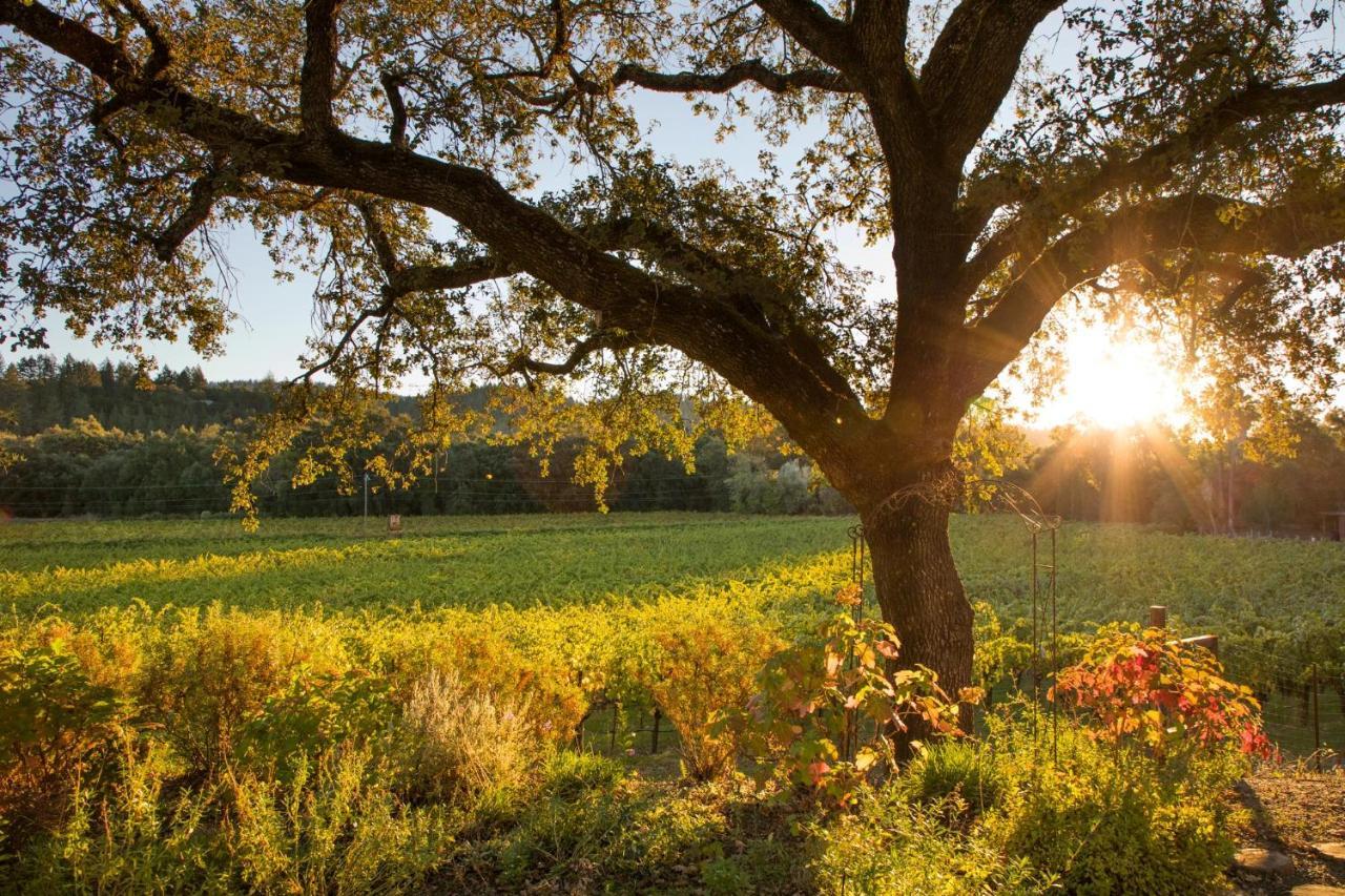 Wine Country Inn Napa Valley Света Елена Екстериор снимка